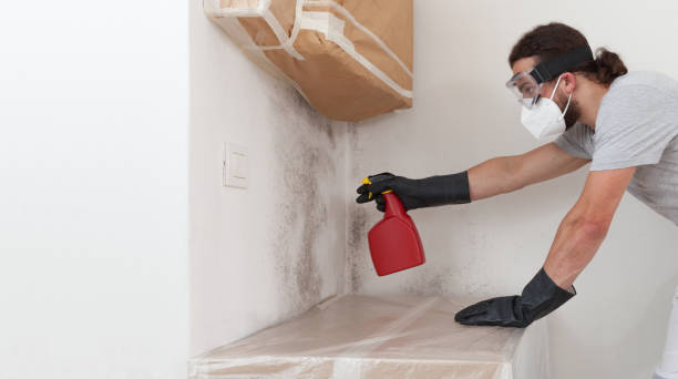 Professional Commercial Mold Remediation technician working in Bloomington, TX